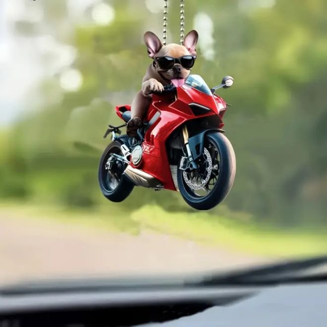 Colgantes llavero Colgantes llavero de Acrílico de perros y gatos en Motos