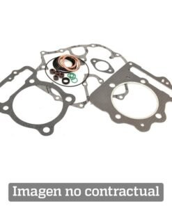 Kit completo juntas de motor Winderosa 808325