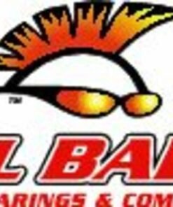 Kit de rodamientos diferencial All Balls 25-2066-5