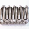 tornillo-para-el-motor-scar-titanio